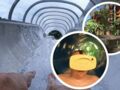 Freizeit Säntispark Abtwil - Wildbach VR Ride Freizeit Säntispark Abtwil - Wildbach VR Ride